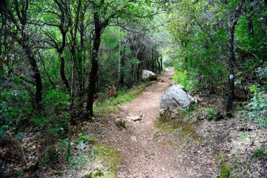 Surtana vadisindeki patika