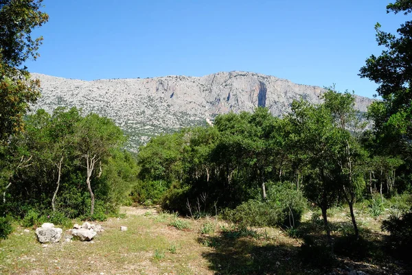 Pohled Monte Udd Údolí Lnaitto — Stock fotografie