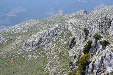 Montalbo dağlarının manzarası
