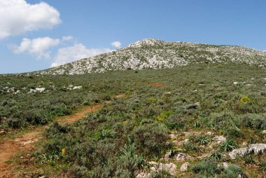 Arka planda Montalbo Dağları manzarası Punta Cupetti