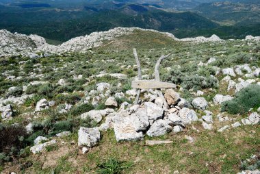 Montalbo dağlarına giden yol.