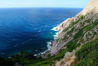 Arjantin kıyıları