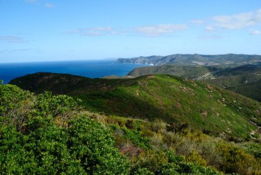 Arjantin kıyıları