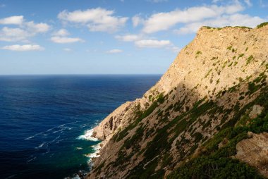 Arjantin kıyıları