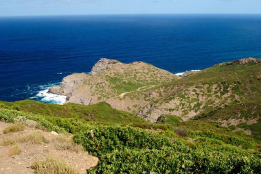 Arjantin kıyıları