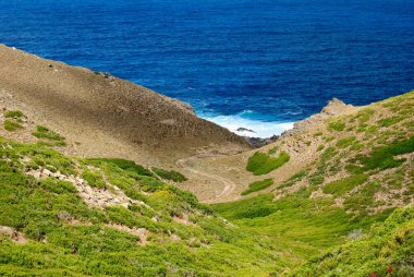 Arjantin kıyıları