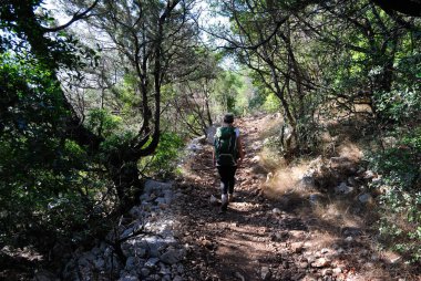 Cala Luna 'ya giden yol