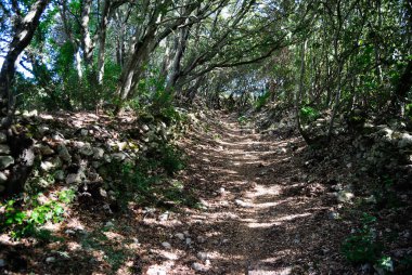 Badde Tolta 'dan Luna e Sole' a giden yol.