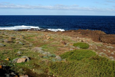 Castelsardo kıyısında, Cala Ostina ve La Ciaccia arasında.