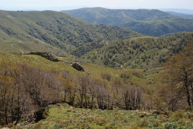 Gennargentu dağlarındaki Punta La Marmora yolundan panoramik manzara