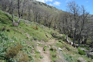 Gennargentu dağlarındaki Punta La Marmora yolundan panoramik manzara