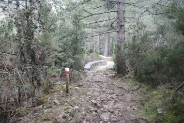 Limbara dağlarında patika.