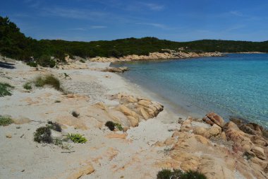 Caprera 'daki Cala Andreana plajı.