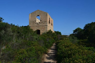 Cala Napoletana 'ya giden yollar