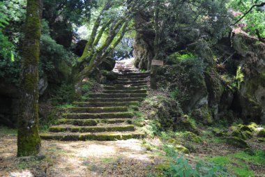Monte Sant 'Antonio Ormanı