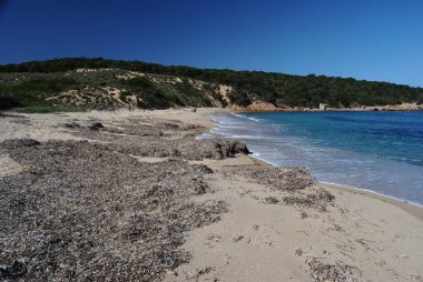 Cala di Trana plajı