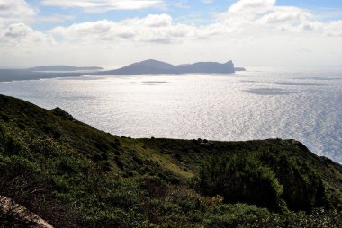 Punta Argentiera kıyıları, arka planda Capo Caccia