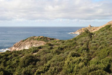 Punta Arjantin kıyıları