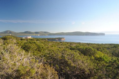Capo Caccia kıyısındaki patikadan görüntüler