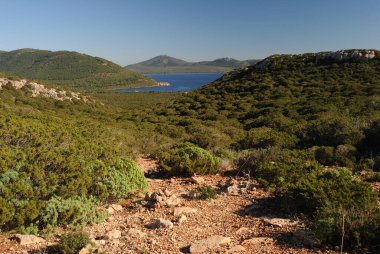 Capo Caccia kıyısındaki patikadan görüntüler
