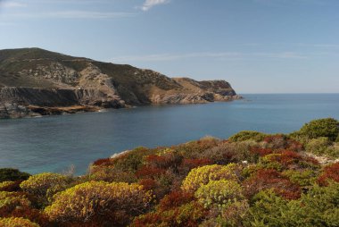 Arjantin kıyıları