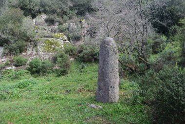 Parco Mariani 'nin Menhir' i