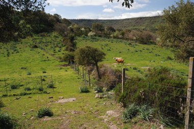 Parco Mariani Manzarası