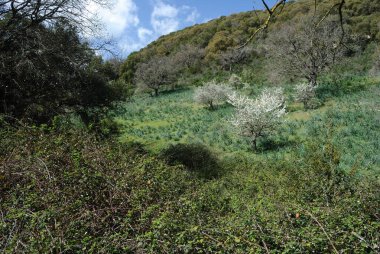 Parco Mariani Manzarası