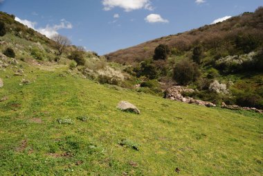Parco Mariani Manzarası