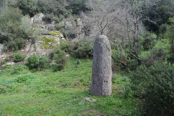 Parco Mariani 'nin Menhir' i