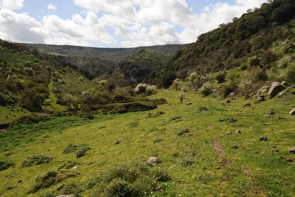 Parco Mariani Manzarası