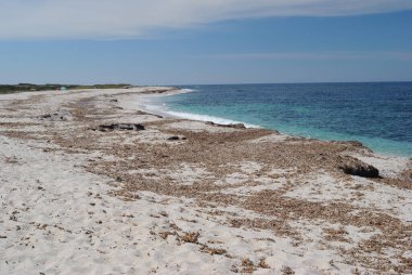 Su Crastu Biancu Plajı