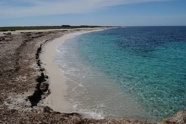 Su Crastu Biancu Plajı