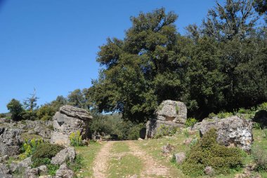 Nuraghe Mereu 'ya ve Orgosolo Supramonte' deki Nuraghe Gorropu 'ya gidiyorum.
