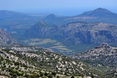 Oliena 'nın Supramonte' sinde Punta Corrasi 'ye yolculuk