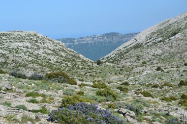 Oliena 'nın Supramonte' sinde Punta Corrasi 'ye yolculuk