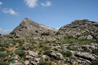 Oliena 'nın Supramonte' sinde Punta Corrasi 'ye yolculuk