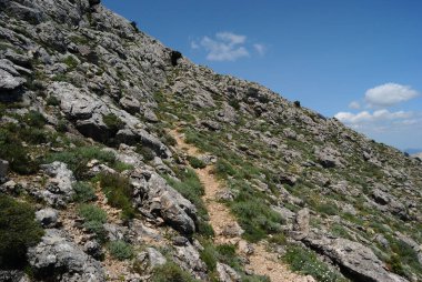 Oliena 'nın Supramonte' sinde Punta Corrasi 'ye yolculuk