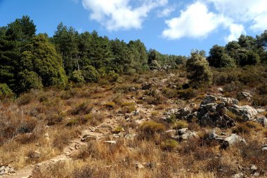 Landscapes of Limbara mountain