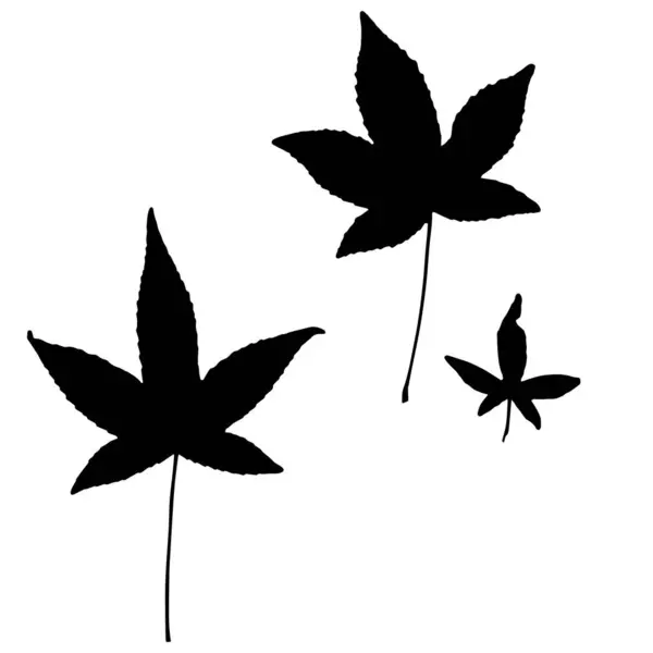 Herbarium Leaves Vector Illustration Herbarium — Stock Vector