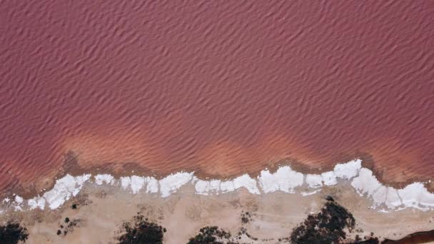 Spanya Daki Dan Salt Pembe Göl Sahil Görünümü — Stok video