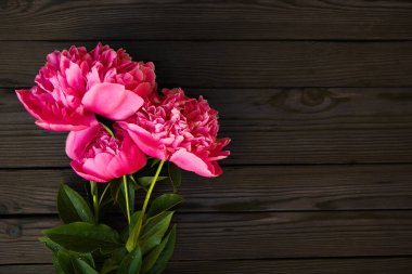 Tahta arka planda pembe şakayık çiçekleri