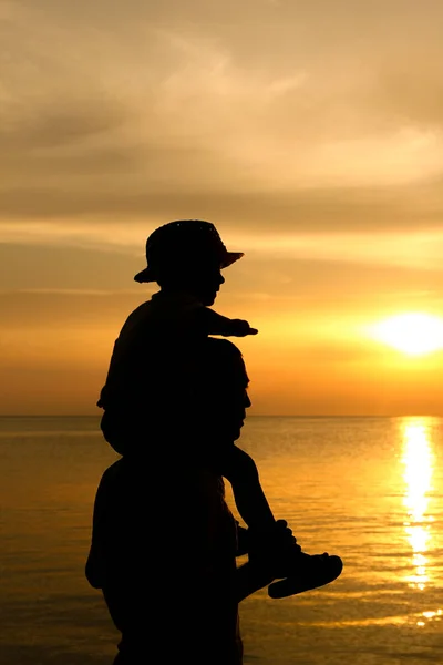 happy parent with child by the sea in nature on a trip silhouette