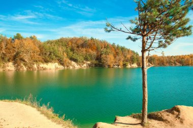 Yolculuk için güzel bir sonbahar yolu