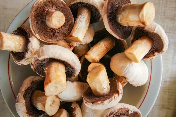 Background Fresh Whole Mushrooms Closeup — Stock Photo, Image