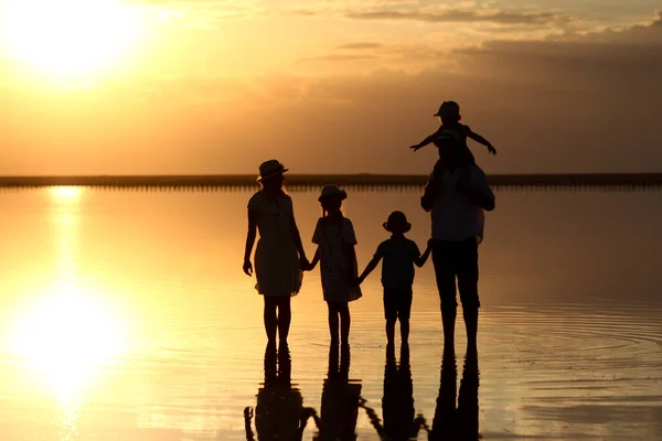Happy family silhouette at sea with reflection in park in nature