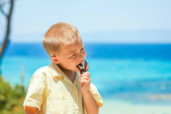 Heureux Enfant Garçon Avec Crème Glacée Bord Mer Dans Nature — Photo