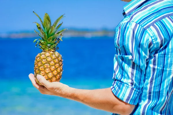 Pineapple in the hands of a man by the sea in nature on a journey background