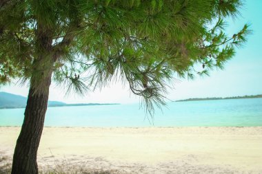 Yunan arka planında deniz kenarındaki güzel doğa