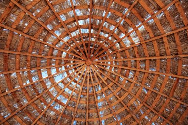 Deniz arka planında güzel bir şemsiye kapağı